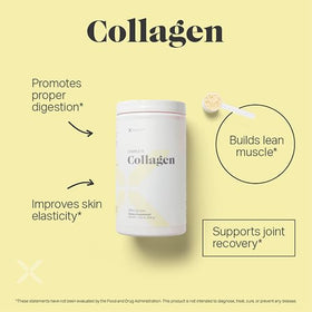 Xyngular Collagène Complet Poudre Piña Colada 440g emballage
