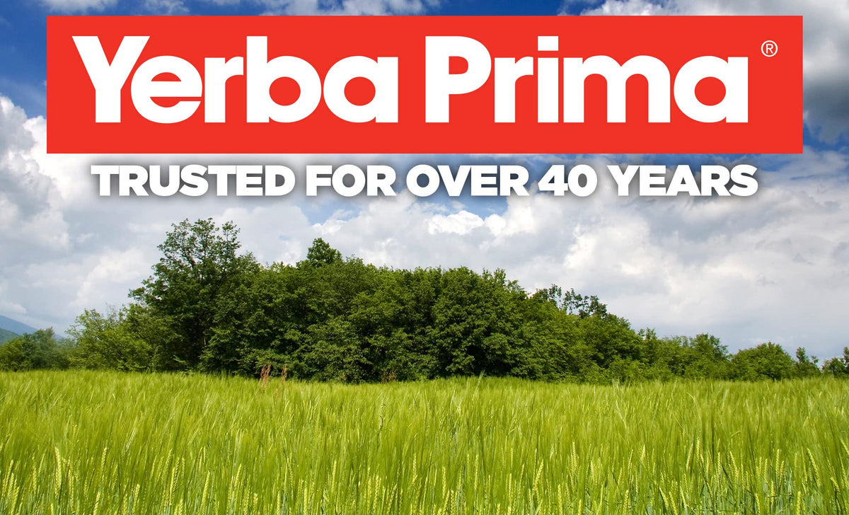 Yerba Prima Psyllium Bio 830g - préparation dans un verre