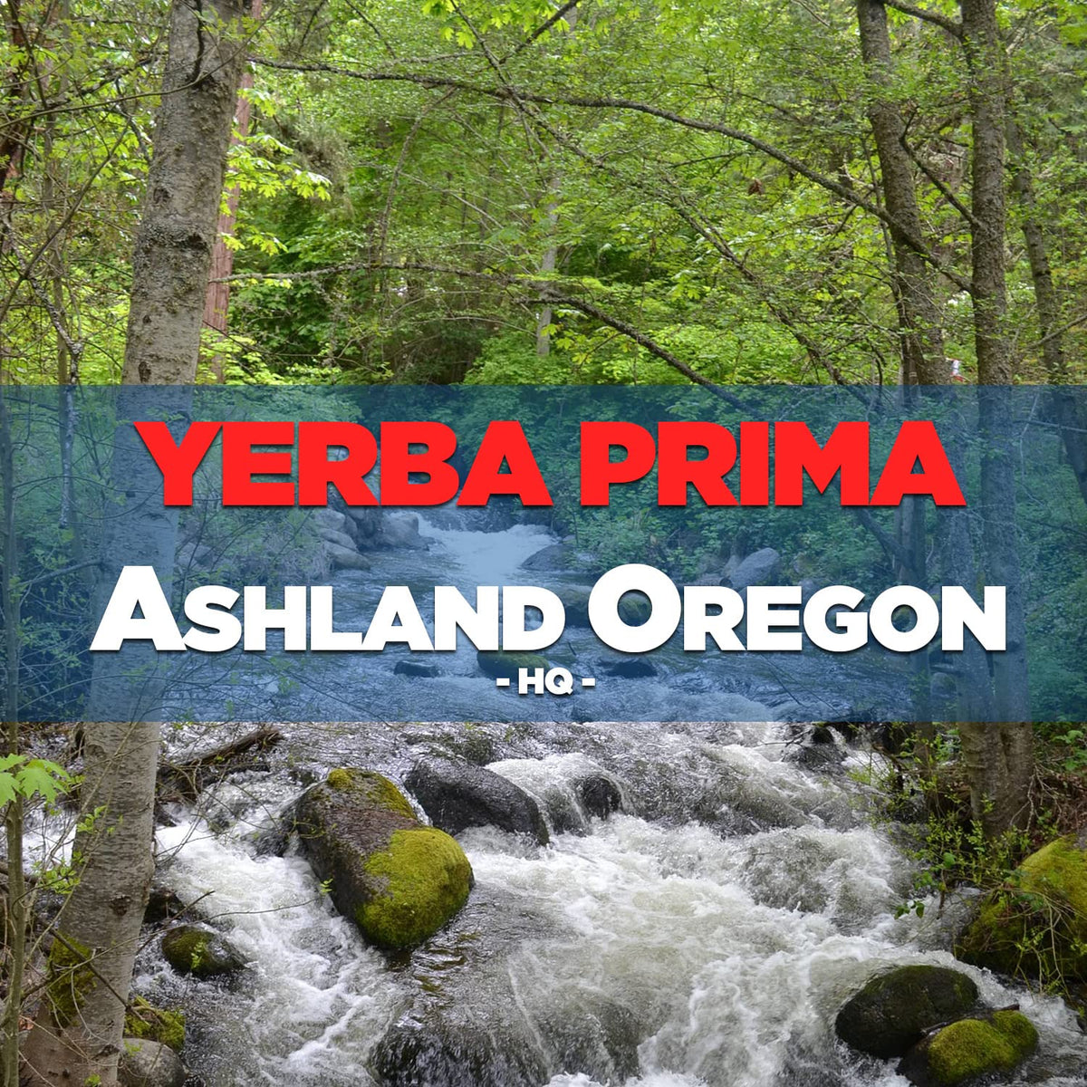 Yerba Prima Psyllium Husk Powder en préparation avec un smoothie