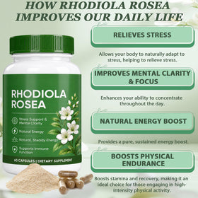 YLOTRE Rhodiola Rosea 500mg capsules bottle with label