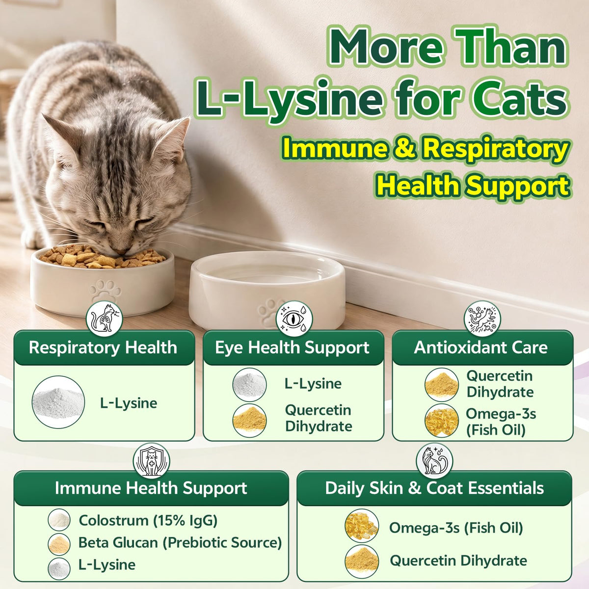 YOTANGO L-Lysine pour Chats, chews au poulet dans une main
