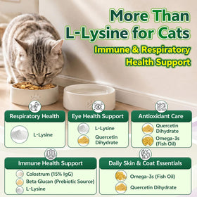 YOTANGO L-Lysine pour Chats, chews au poulet dans une main