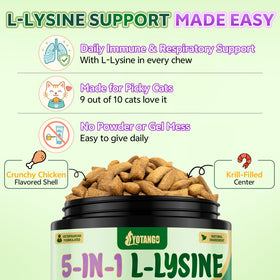 YOTANGO L-Lysine pour Chats, chews au poulet sur une surface