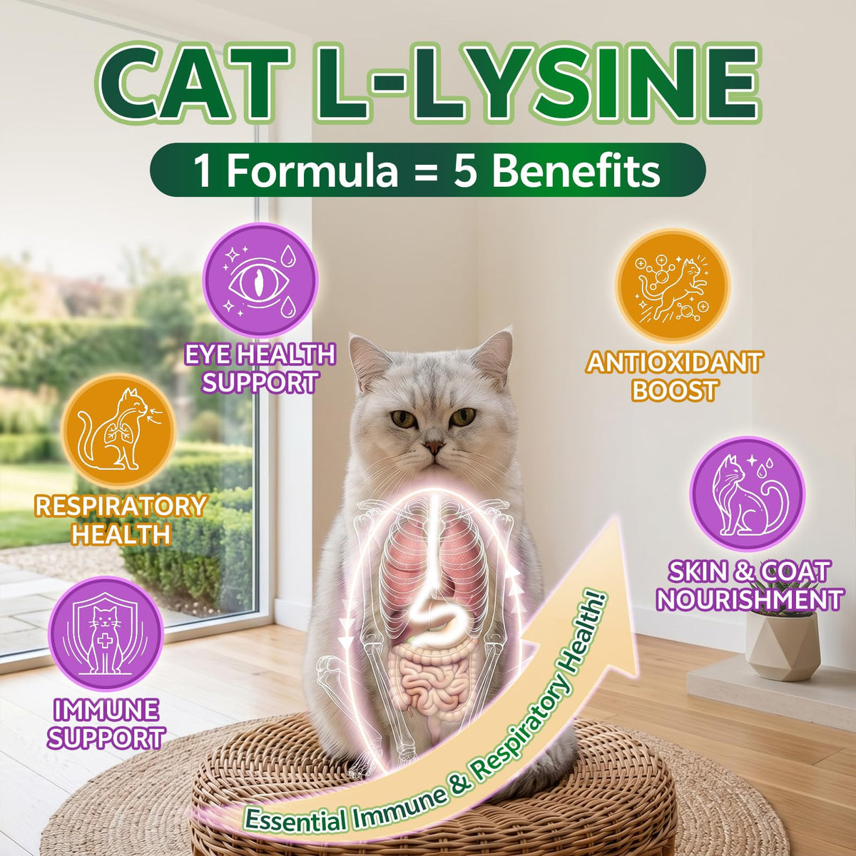 YOTANGO L-Lysine pour Chats, chews avec centre au krill