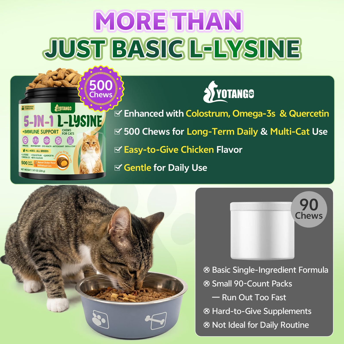 YOTANGO L-Lysine pour Chats, étiquette avec ingrédients