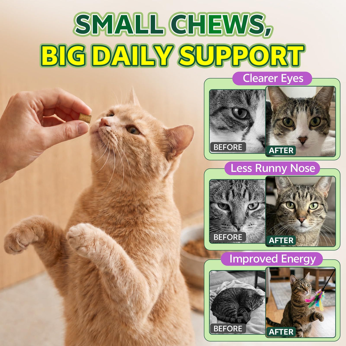 YOTANGO L-Lysine pour Chats, pot ouvert avec chews visibles