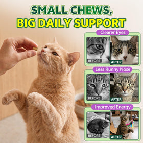 YOTANGO L-Lysine pour Chats, pot ouvert avec chews visibles