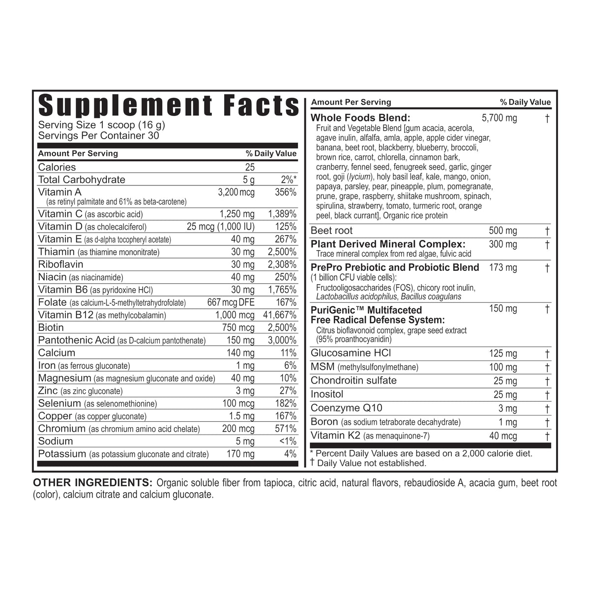 Youngevity Beyond Tangy Tangerine 2.5 contenant et mesure de poudre