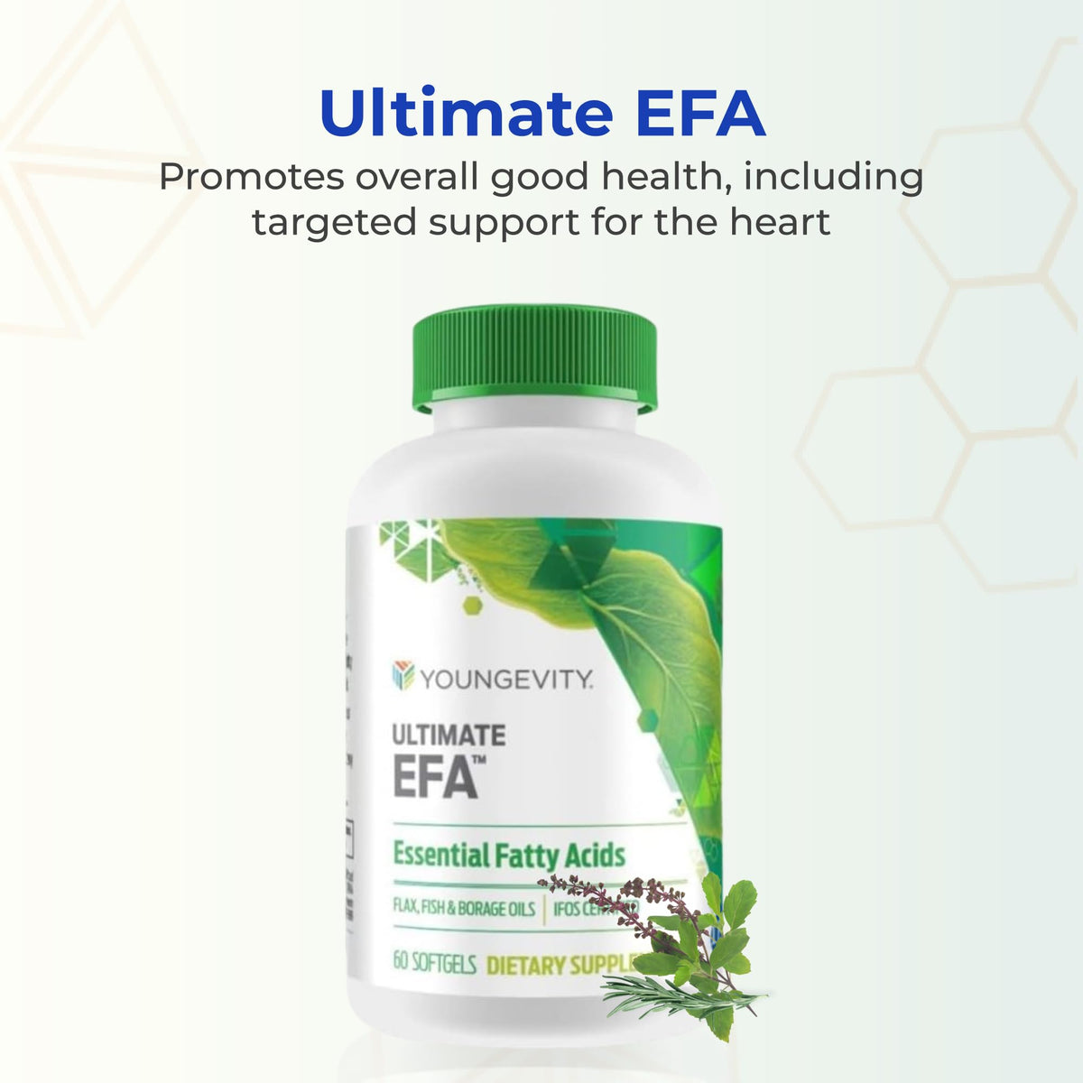 Youngevity EFA Gélules Souples 60 Count emballage