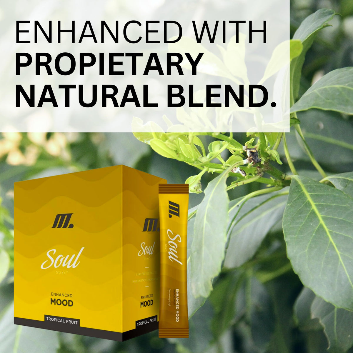 Youngevity Soul Mood Powder Tropical Fruit ingredients list
