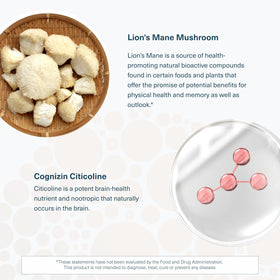Youtheory Lion's Mane+ capsules ouvertes sur une surface