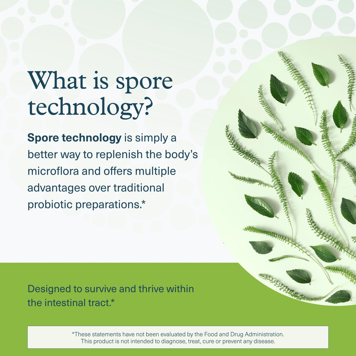Youtheory Probiotique Spore boîte ouverte avec capsules à l'intérieur