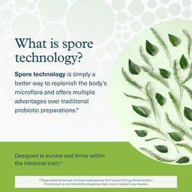 Youtheory Probiotique Spore boîte ouverte avec capsules à l'intérieur