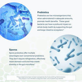 Youtheory Probiotique Spore présentation des capsules
