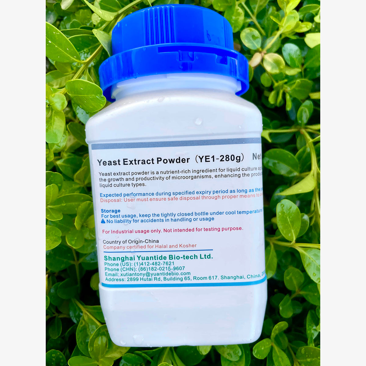 Yuantide Extrait de Levure 280g à côté d'équipements de laboratoire