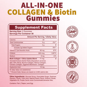 Zammex Gummies Multi-Collagène arrière du flacon avec ingrédients