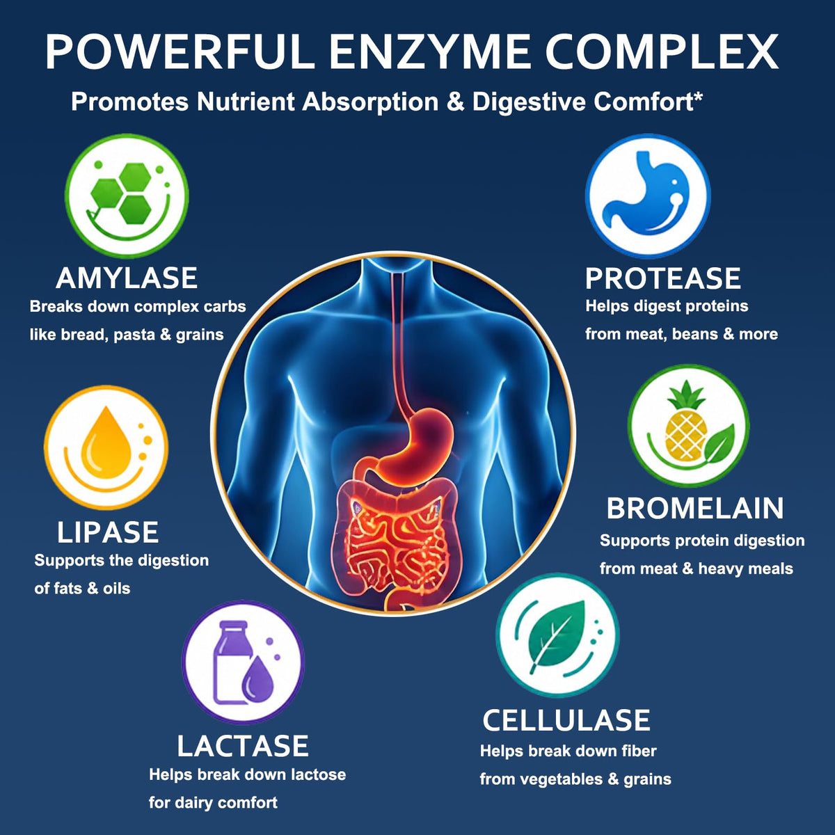 ZAYMAN Multi-Enzymes - ingrédients naturels sur une table