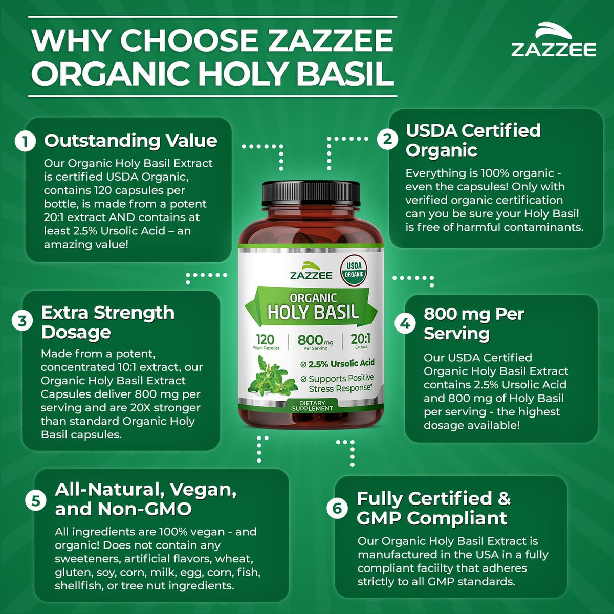 Zazzee Extrait de Basilic Sacré Bio 20:1 packaging