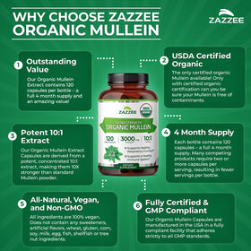 Zazzee Extrait de Feuille de Molène Bio 10:1 sur une table en bois