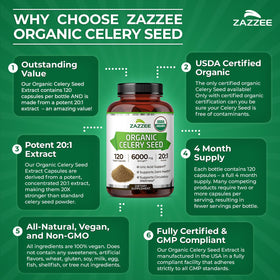 Zazzee Extrait de Graines de Céleri Bio, capsules sur un plan de travail