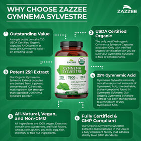 Zazzee Extrait de Gymnema Sylvestre Bio 25:1 étiquette