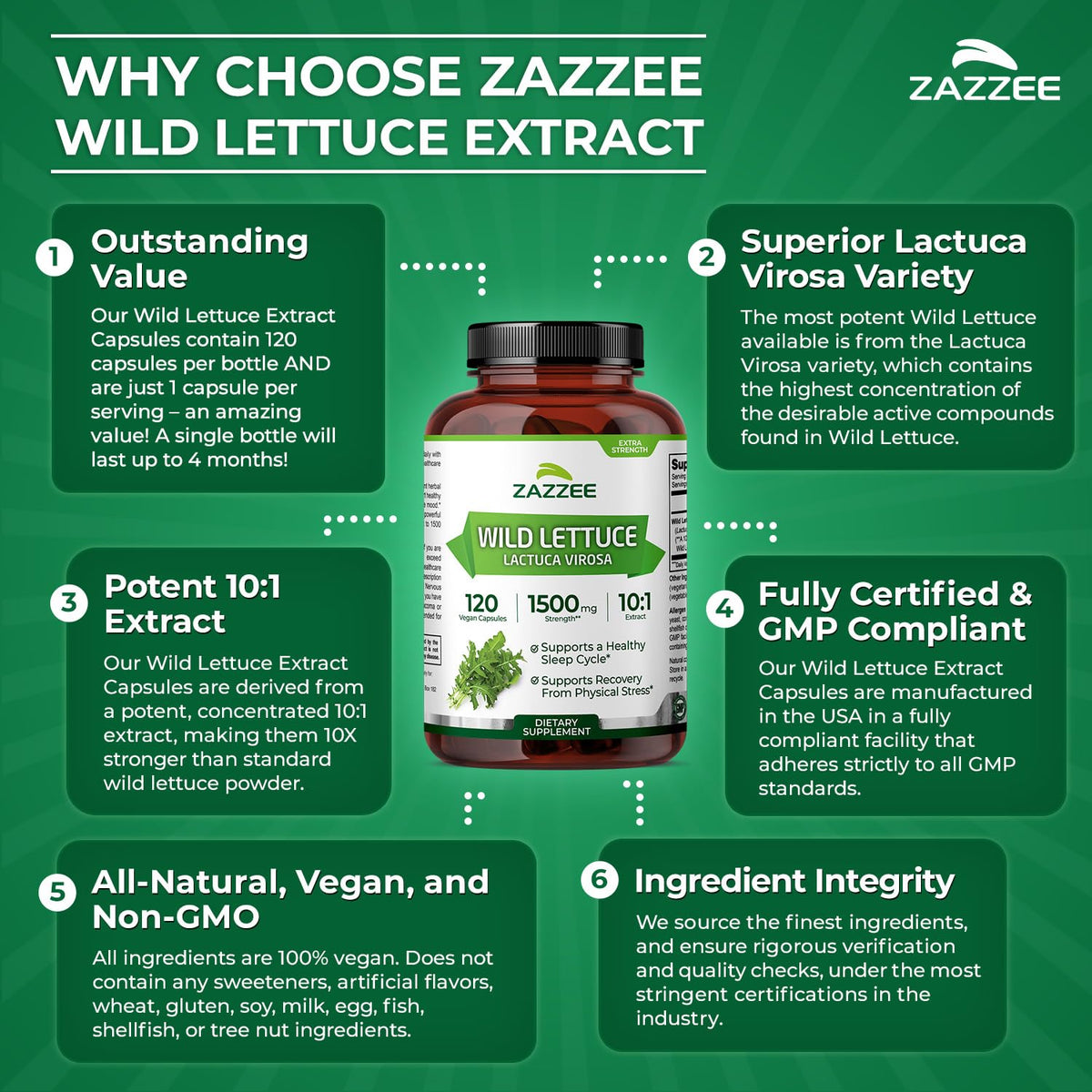 Zazzee extrait de laitue sauvage 10:1 capsules sur un fond blanc