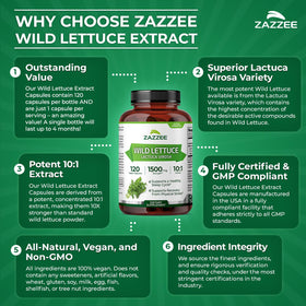 Zazzee extrait de laitue sauvage 10:1 capsules sur un fond blanc