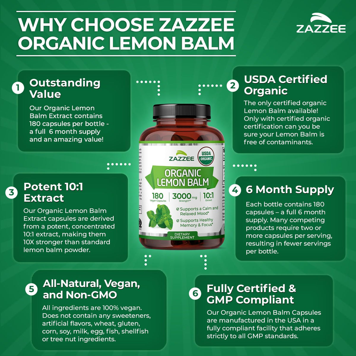 Zazzee Extrait de Mélisse Bio ingrédients naturels