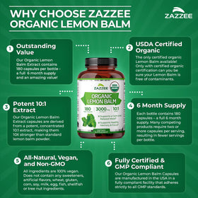 Zazzee Extrait de Mélisse Bio ingrédients naturels