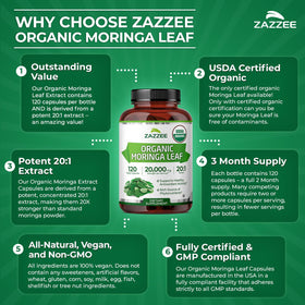 Zazzee Extrait de Moringa Bio 20:1 ingrédients naturels