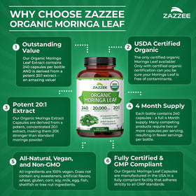 Zazzee Extrait de Moringa Bio en contexte de vie saine