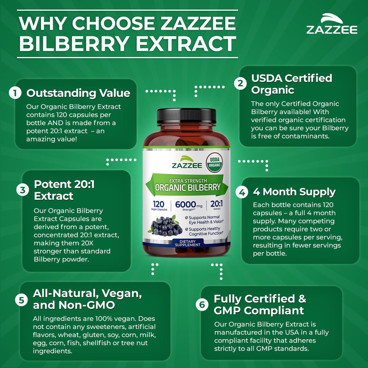 Zazzee Extrait de Myrtille Biologique 20:1 présentation en milieu naturel