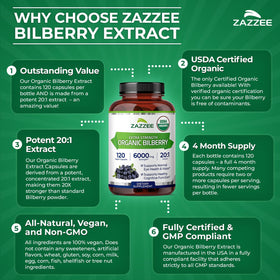 Zazzee Extrait de Myrtille Biologique 20:1 présentation en milieu naturel