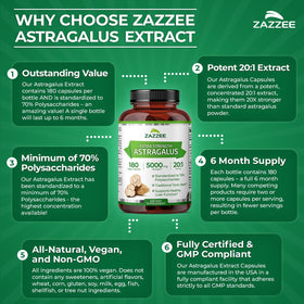 Zazzee Extrait de Racine d'Astragale capsules dans une main