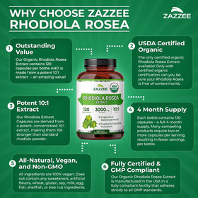 Zazzee Extrait de Rhodiola Bio 10:1 sur un fond blanc