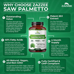 Zazzee Extrait de Saw Palmetto 20:1 extrait concentré