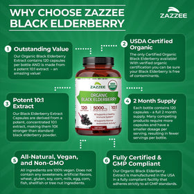 Zazzee Extrait de Sureau Noir Bio 10:1 avec des ingrédients naturels