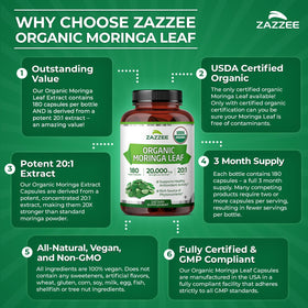 Zazzee Moringa Bio 20:1 extrait gélules avec ingrédients