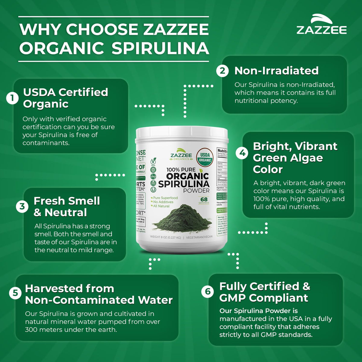Zazzee Poudre de Spiruline Bio 290g avec fruits et légumes