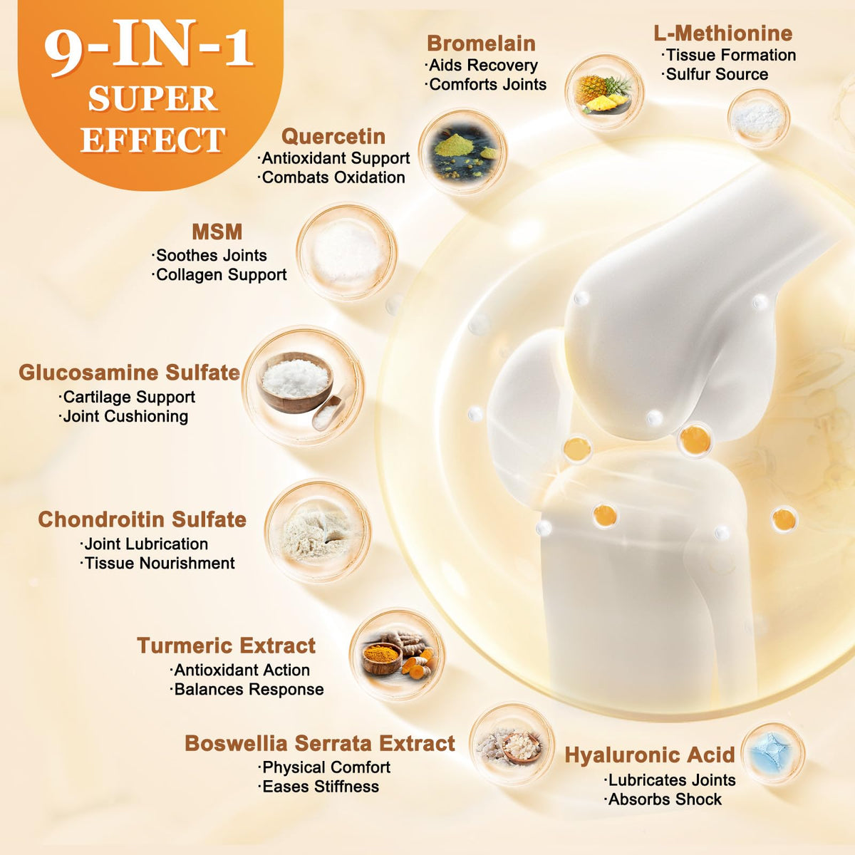 ZEBORA Complément Alimentaire Glucosamine Chondroïtine Capsules avec étiquette
