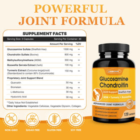 ZEBORA Complément Alimentaire Glucosamine Chondroïtine Capsules dans un environnement naturel