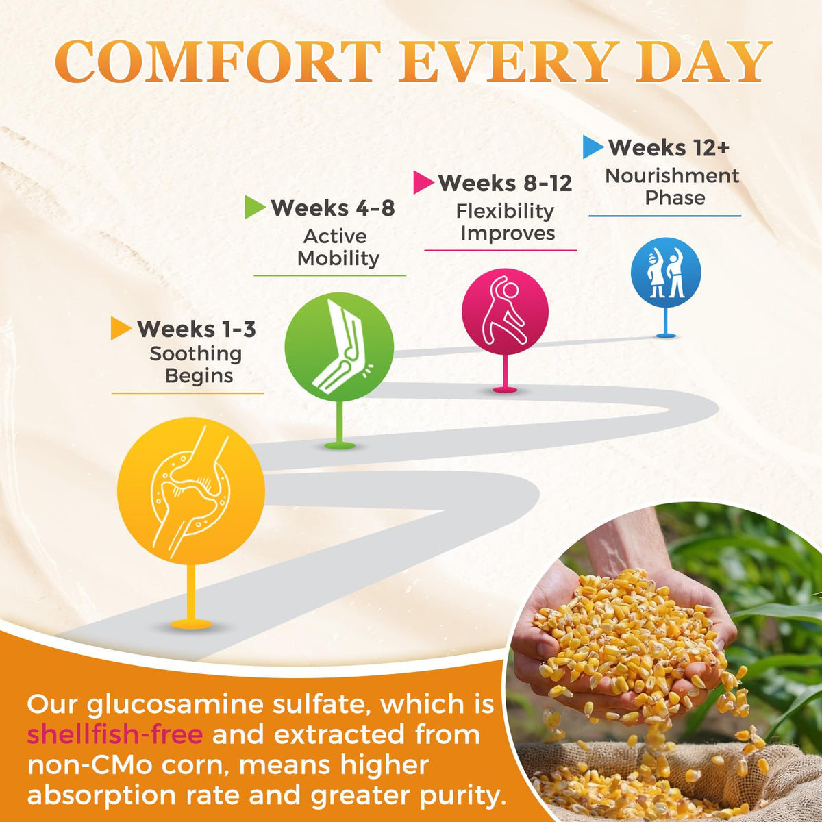 ZEBORA Complément Alimentaire Glucosamine Chondroïtine Capsules ouvertes