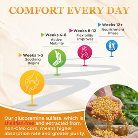 ZEBORA Complément Alimentaire Glucosamine Chondroïtine Capsules ouvertes