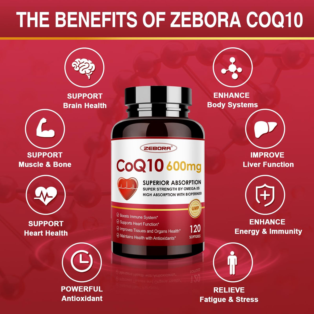 ZEBORA CoQ10 gélules avec étiquette détaillée