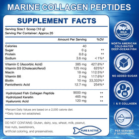 ZEBORA Poudre de Collagène Marin 399g avec doseur inclus
