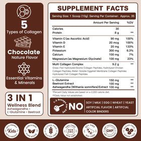 ZEBORA Poudre de Collagène Multi Chocolat 340g avec cuillère incluse