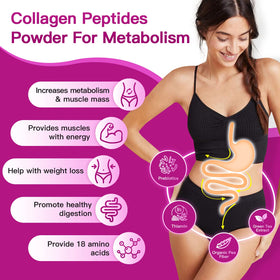 ZEBORA Poudre de Collagène Multi Peptides 408g ingrédients sur l'étiquette
