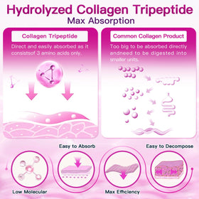ZEBORA Poudre de Collagène Multi Peptides 508g en vue rapprochée du contenu