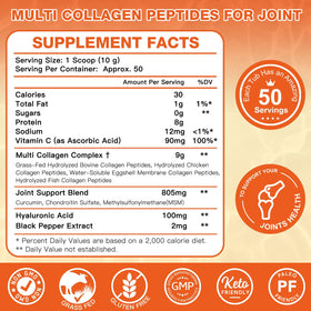 ZEBORA Poudre de Collagène Multi Peptides 640g avec cuillère