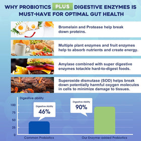 ZEBORA Poudre Probiotique 100 Milliards CFU sachets côté
